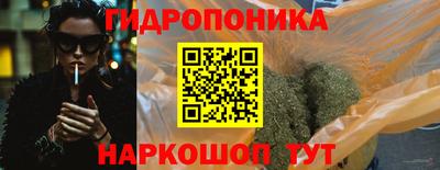 сатива Обь