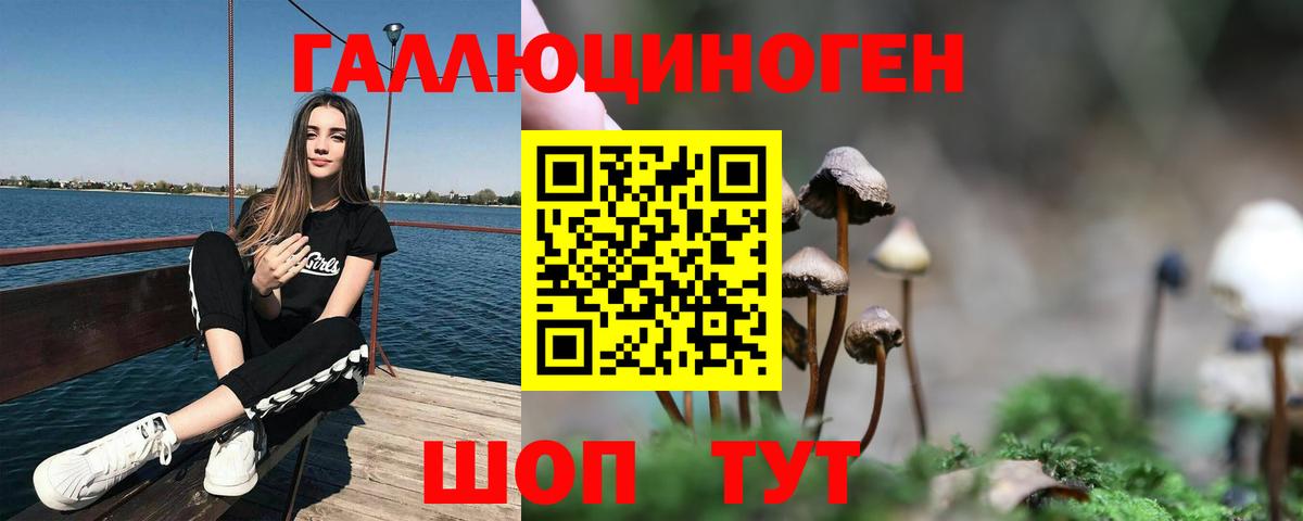 Псилоцибиновые грибы Magic Shrooms Ртищево