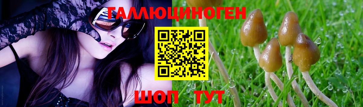 Ртищево  Псилоцибиновые грибы Magic Shrooms  Вход с VPN 