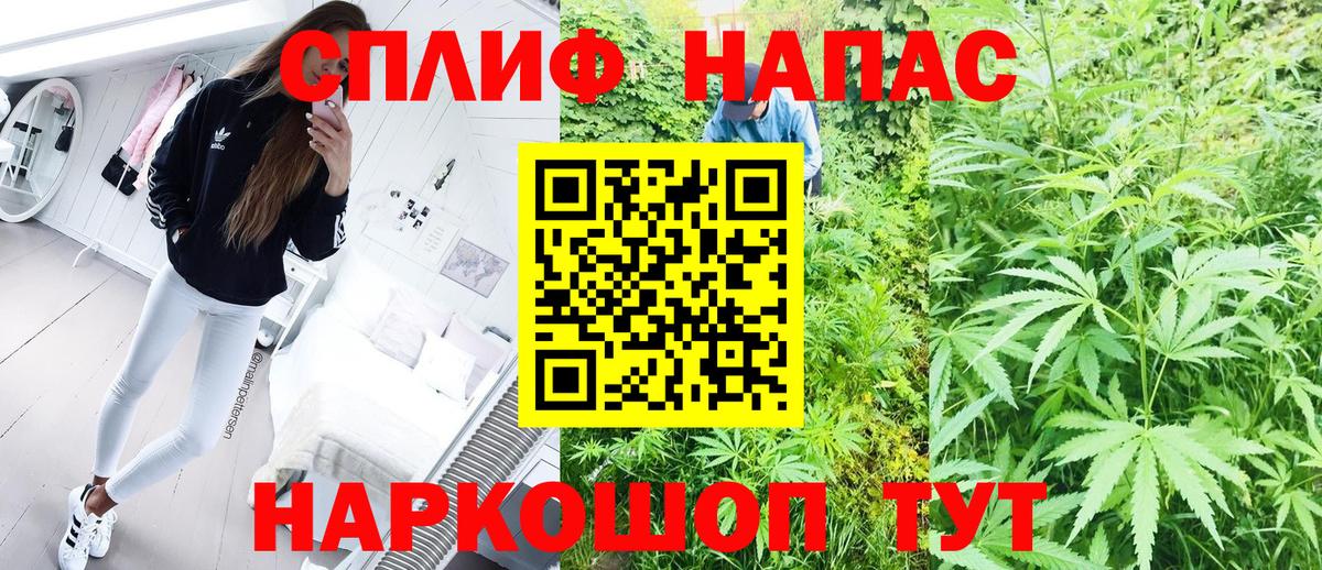 Каннабис гибрид Ртищево